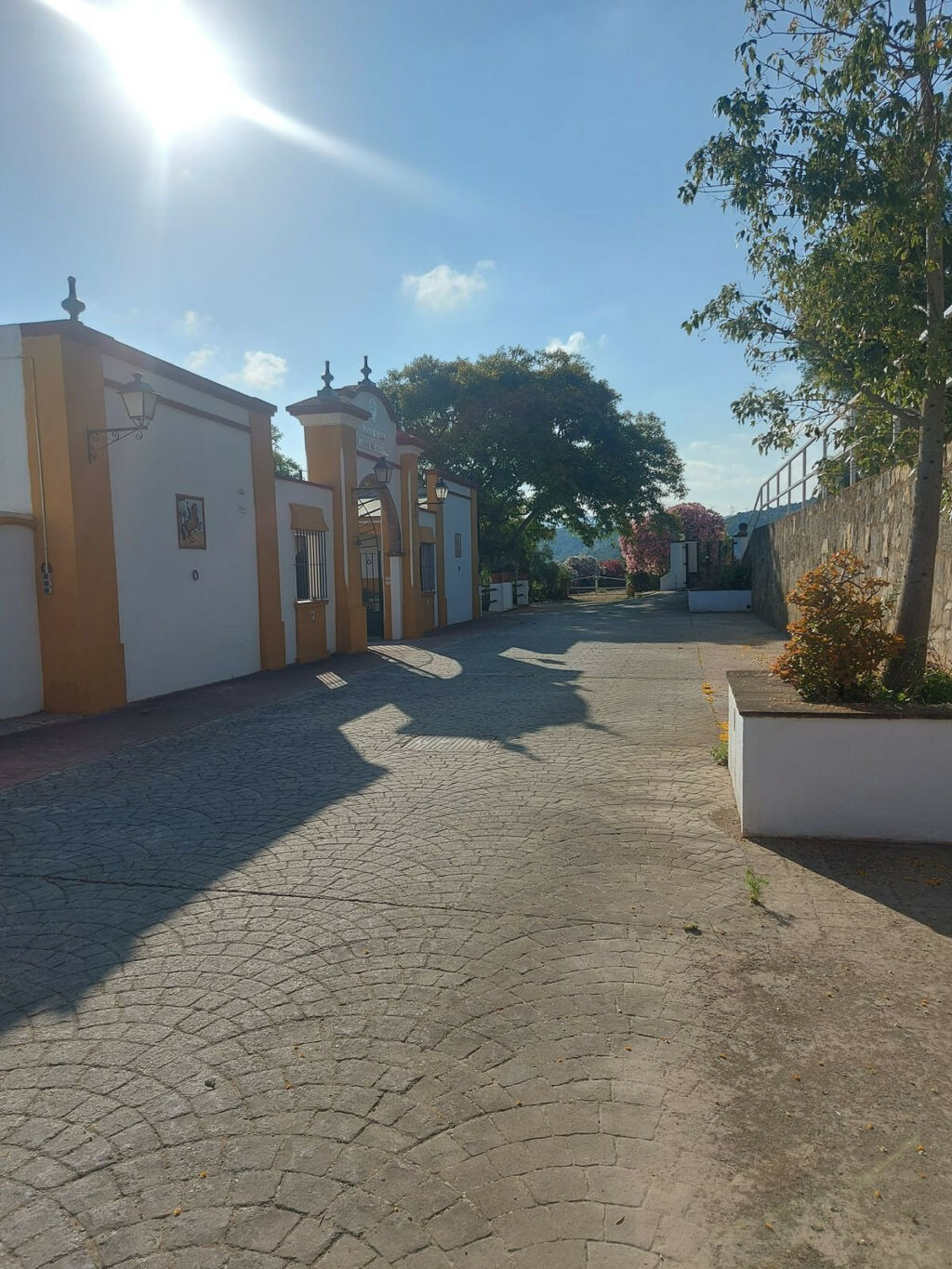 Land Jimena de la Frontera Cádiz - image 10