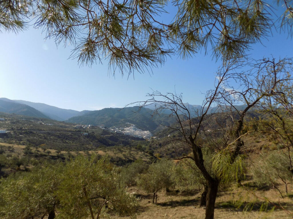 Townhouse Tolox Málaga - image 11