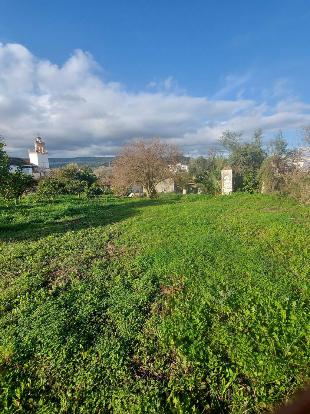 Finca - Cortijo Jimena de la Frontera Cádiz - image 11