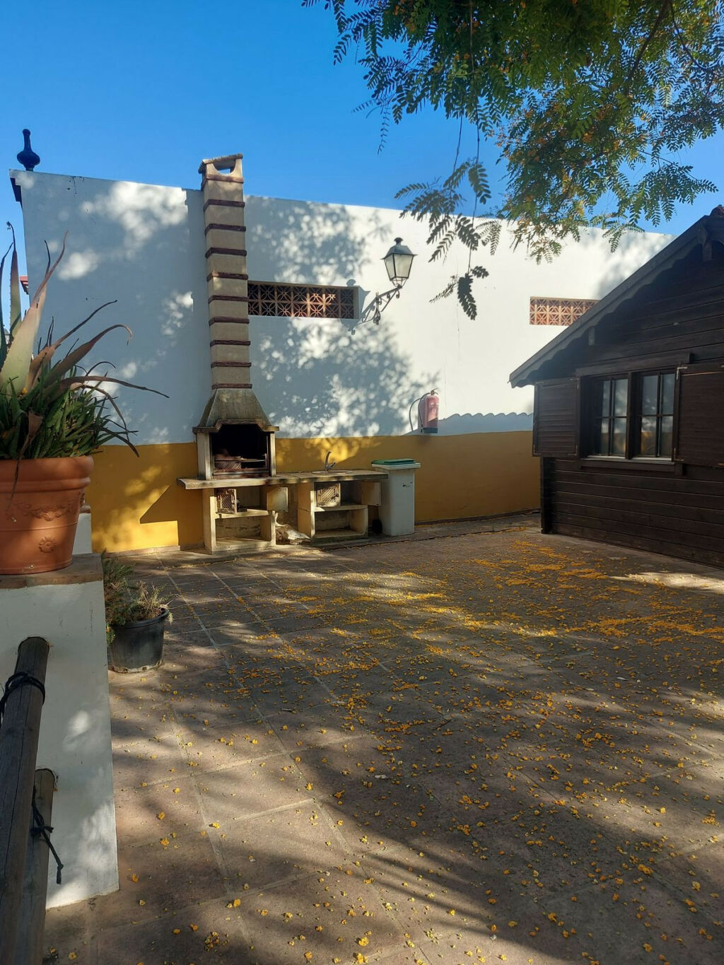 Land Jimena de la Frontera Cádiz - image 12