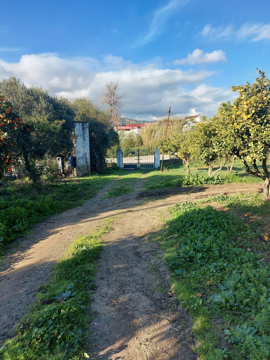 Finca - Cortijo Jimena de la Frontera Cádiz - image 12