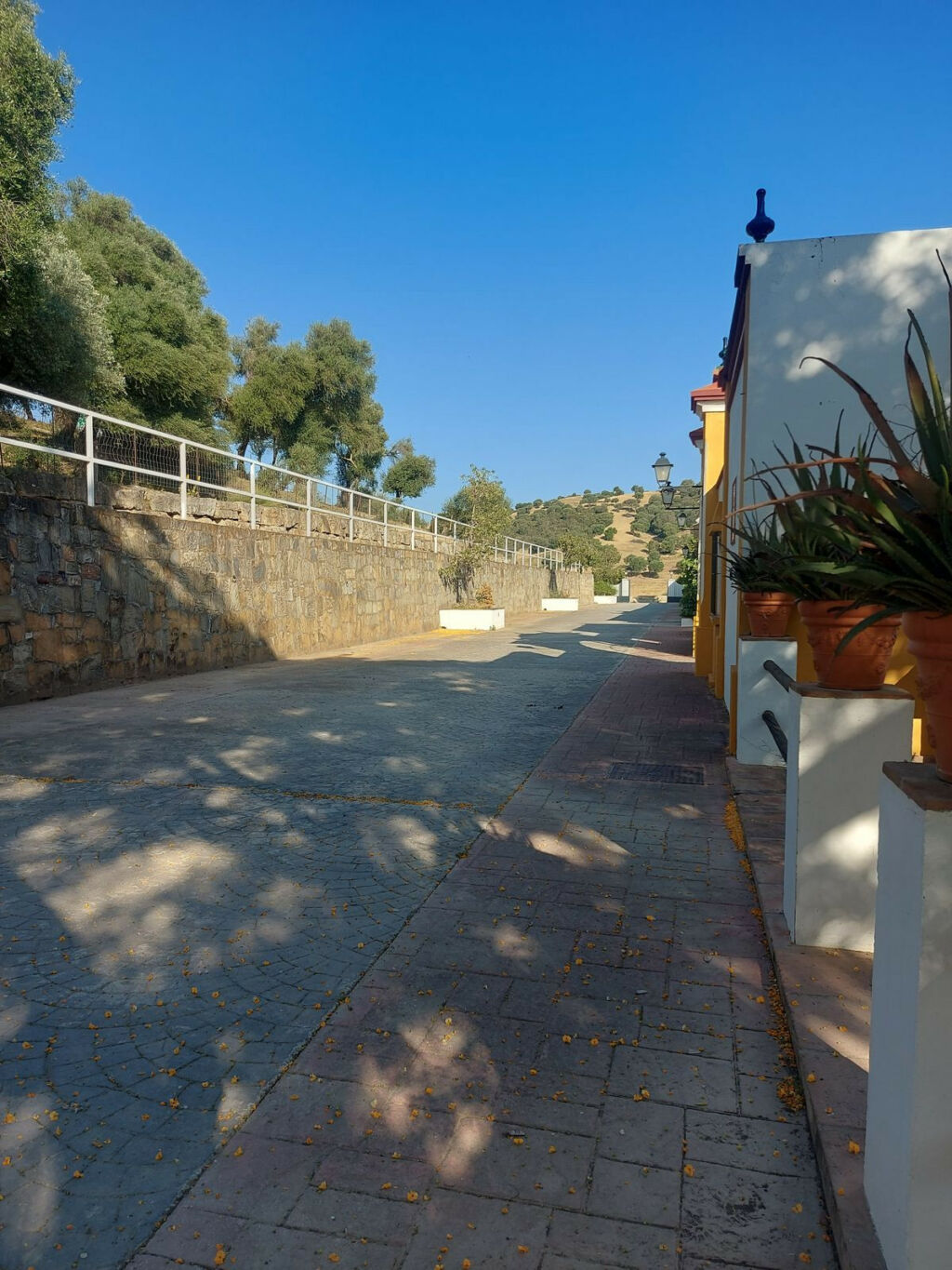 Land Jimena de la Frontera Cádiz - image 13