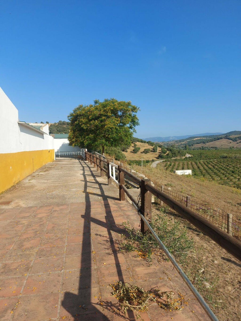 Land Jimena de la Frontera Cádiz - image 14