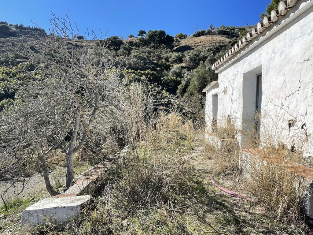 Land with Ruin Frigiliana Málaga - image 15