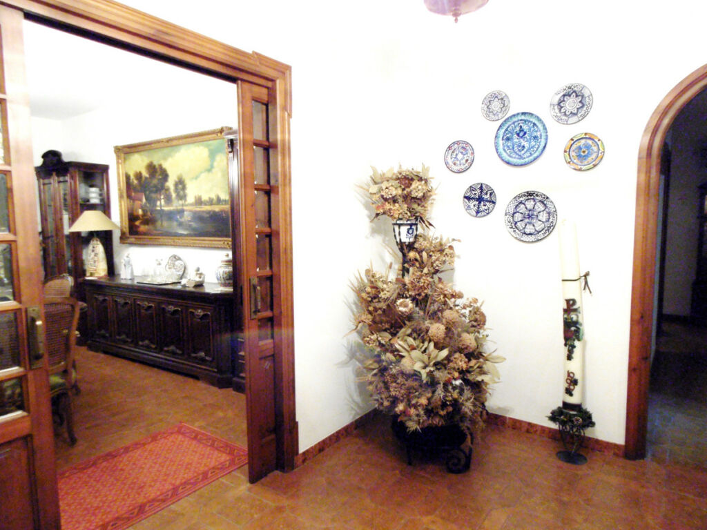 Detached Villa Coín Málaga - image 16