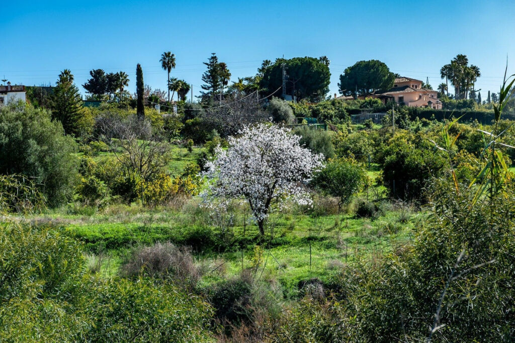 Residential Plot New Golden Mile Málaga - image 16