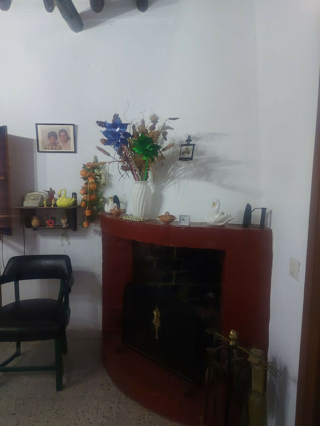 Finca - Cortijo San Enrique Cádiz - image 17