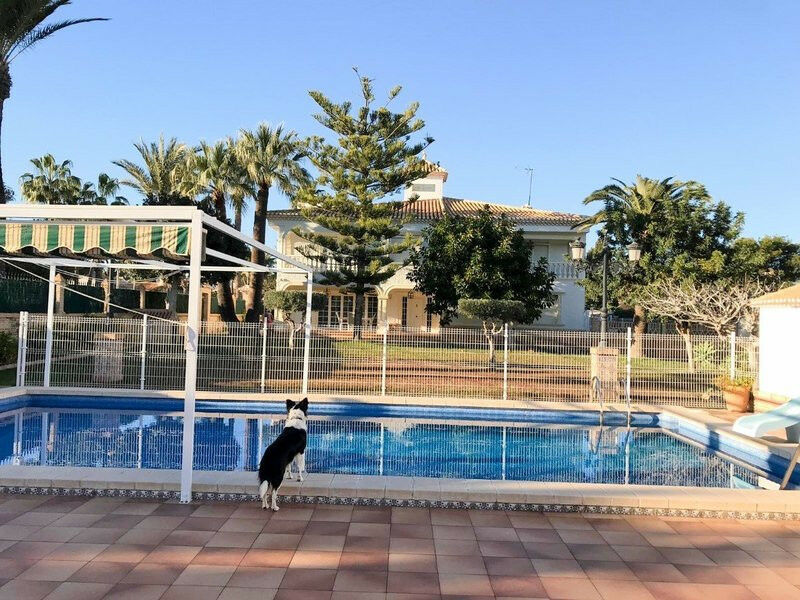 Detached Villa Cabo Roig Alicante - image 2