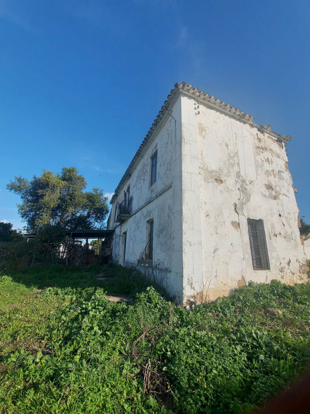 Finca - Cortijo Jimena de la Frontera Cádiz - image 2