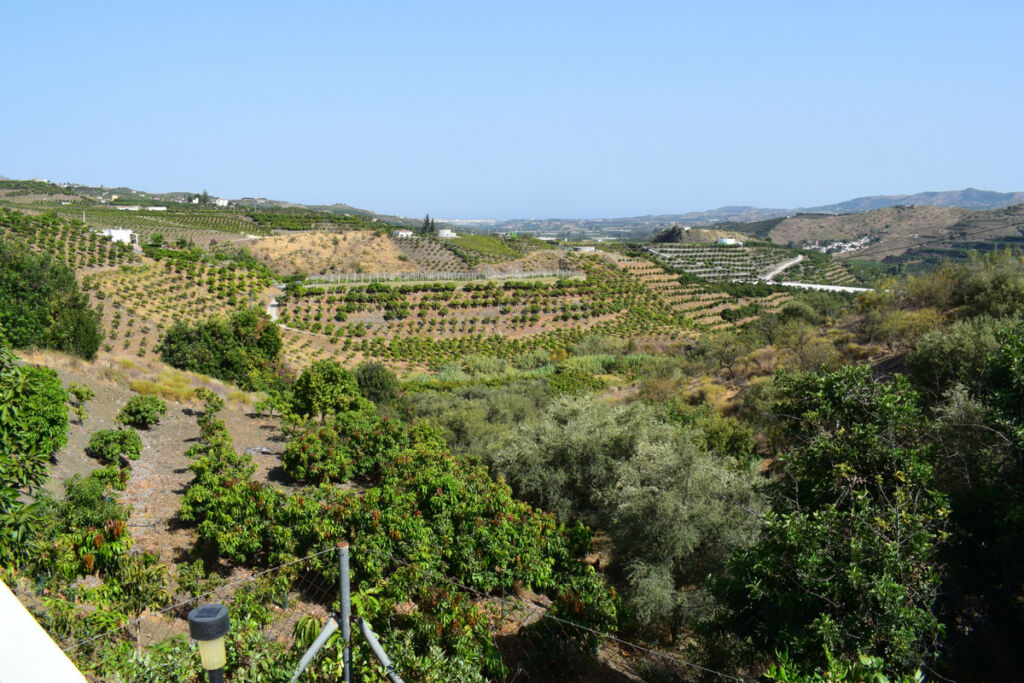 Finca - Cortijo Vélez-Málaga Málaga - image 2