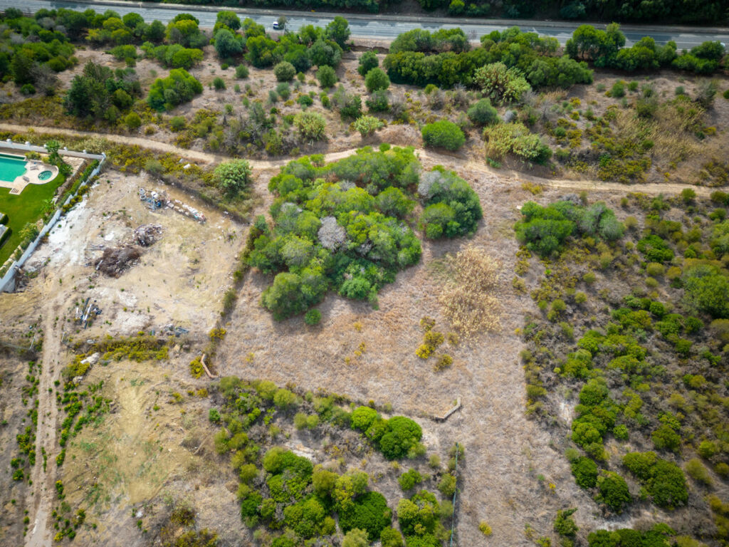Land Sotogrande Cádiz - image 2