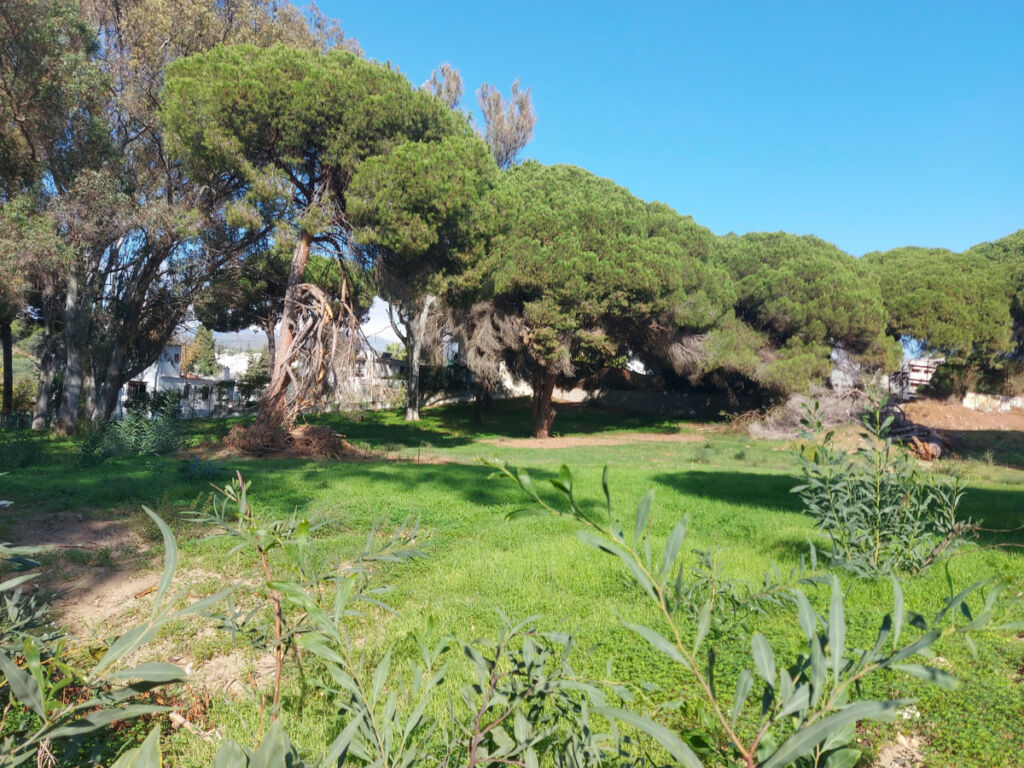Residential Plot Elviria Málaga - image 2