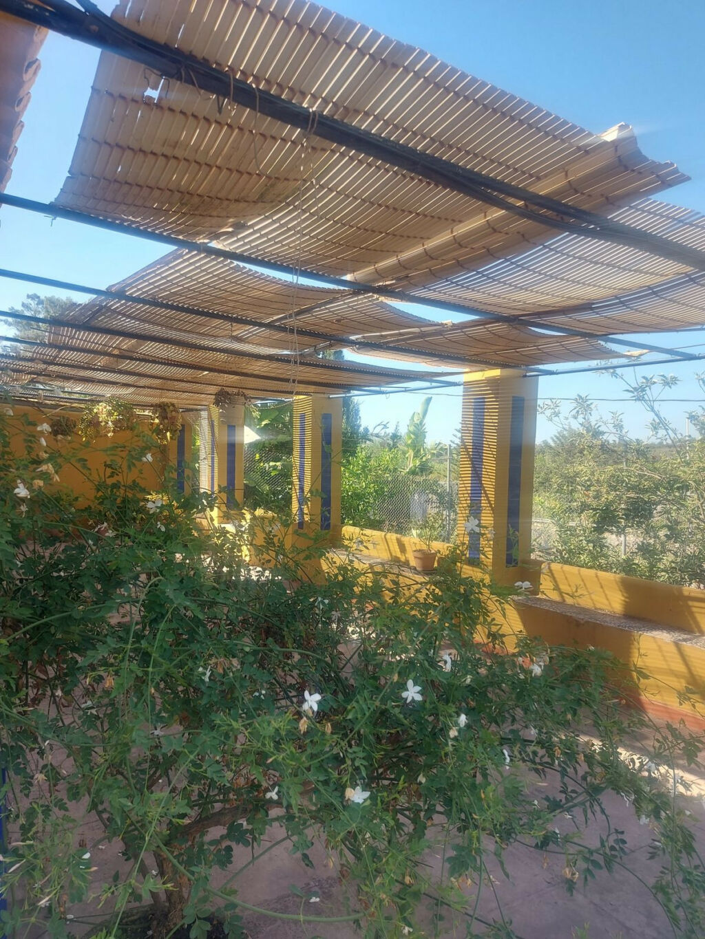 Finca - Cortijo San Enrique Cádiz - image 2