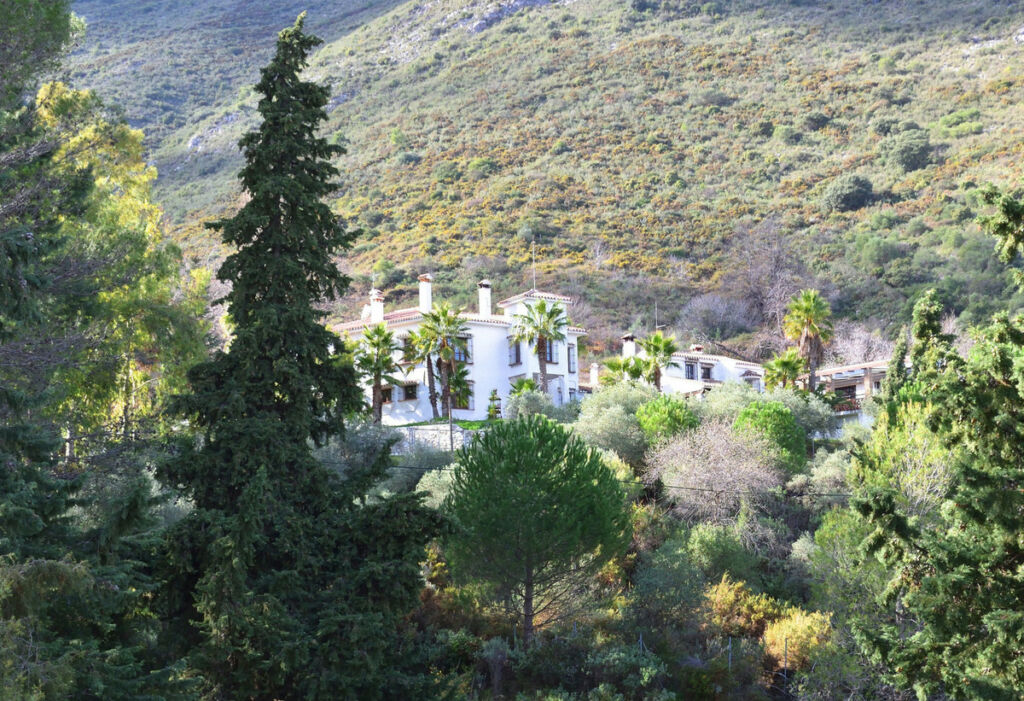 Detached Villa Ojén Málaga - image 21