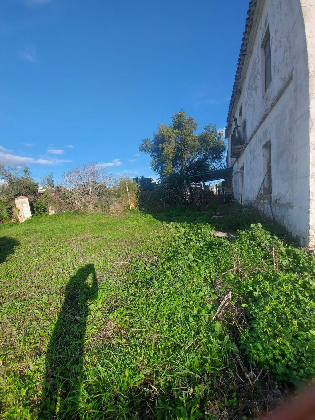 Finca - Cortijo Jimena de la Frontera Cádiz - image 3