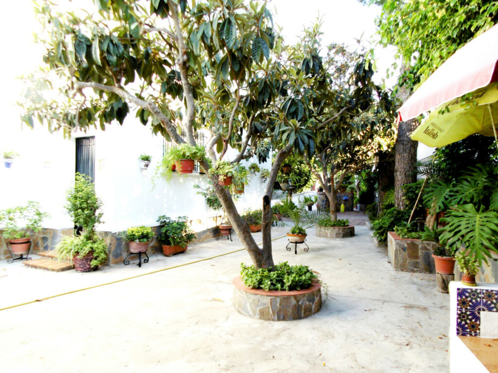 Detached Villa Coín Málaga - image 32