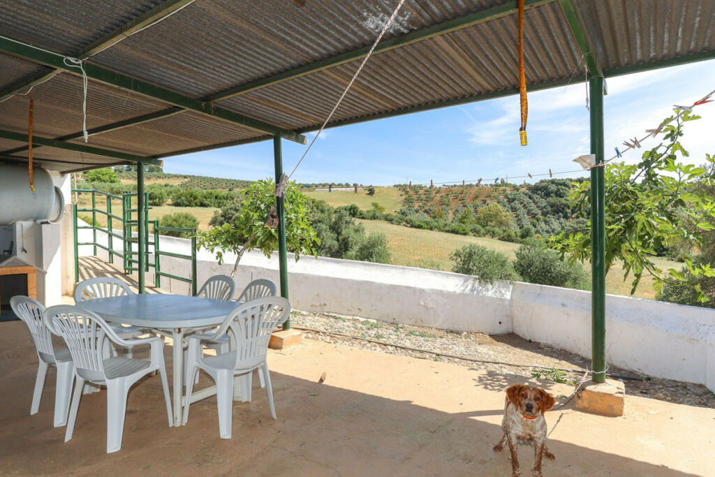 Detached Villa Casarabonela Málaga - image 28