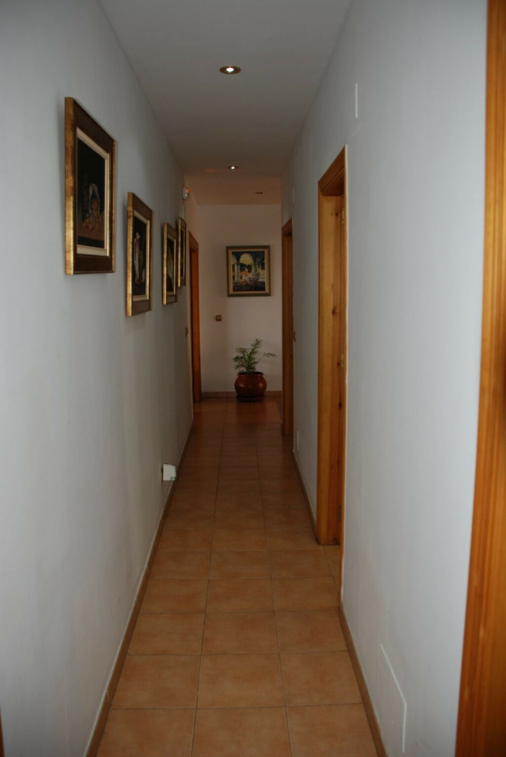 Bungalow Estepona Málaga - image 35