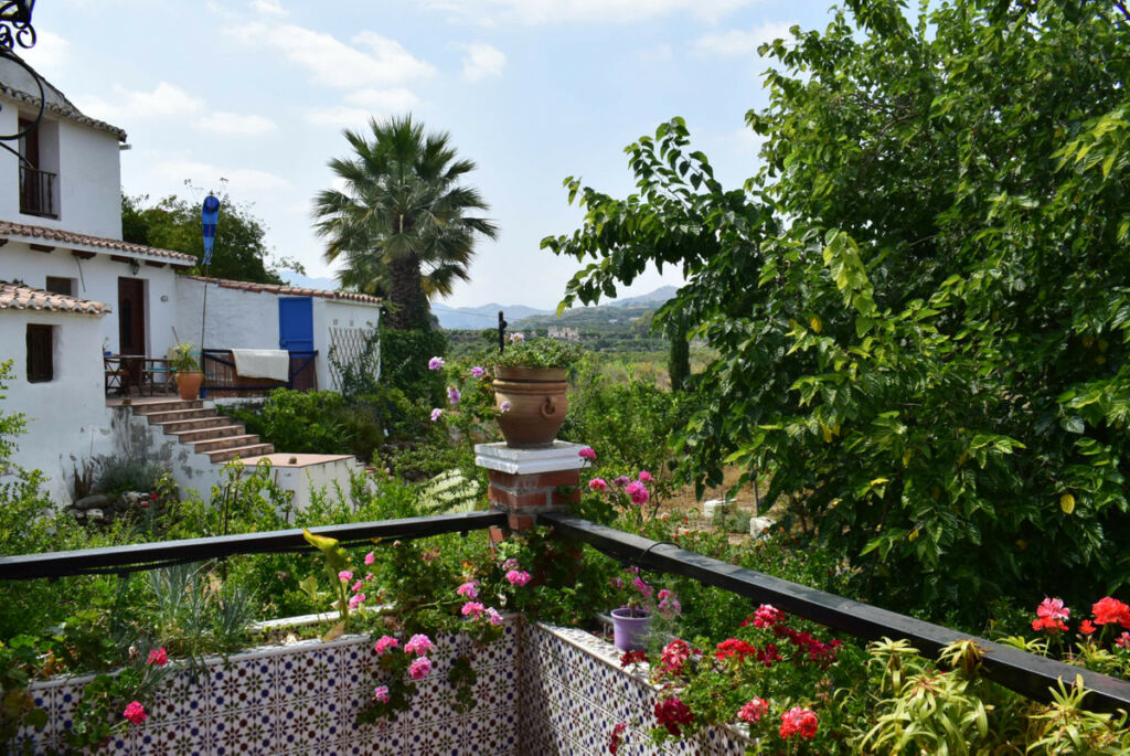 Detached Villa Las Zorrillas Málaga - image 36