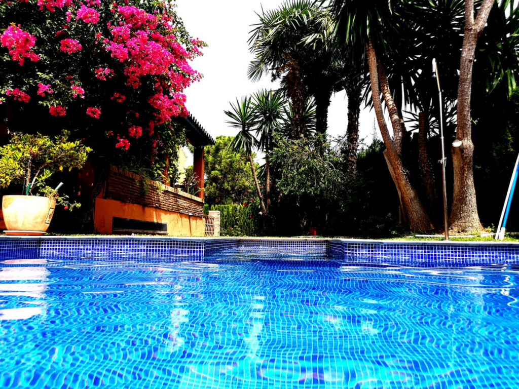 Detached Villa New Golden Mile Málaga - image 36