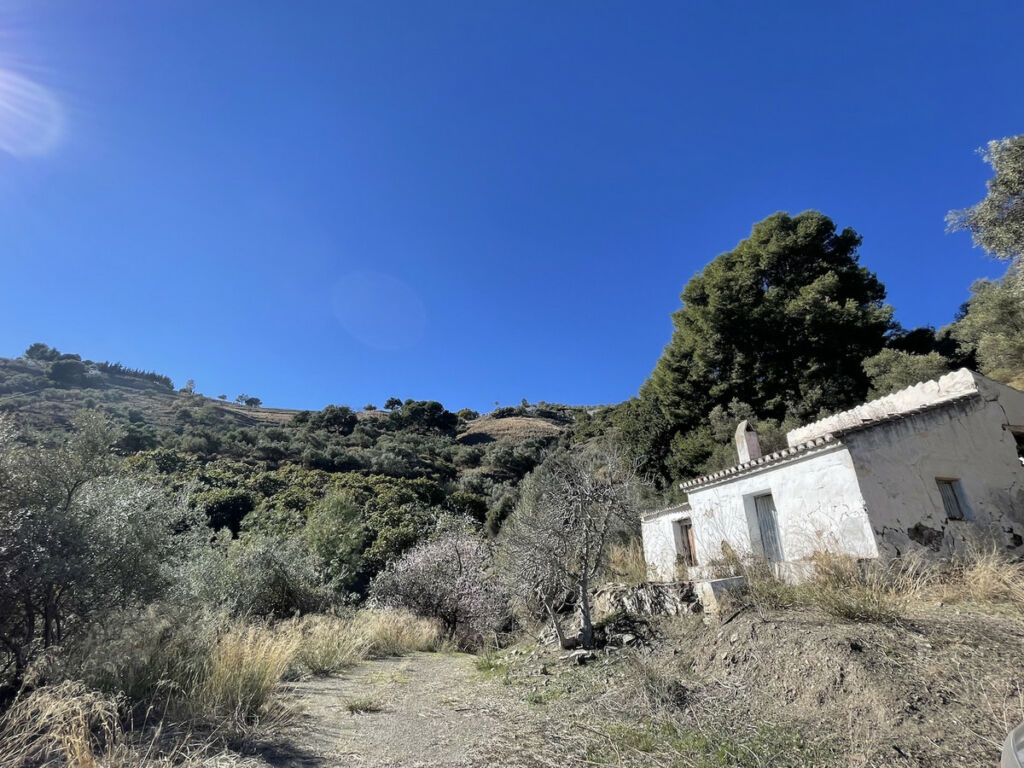 Land with Ruin Frigiliana Málaga - image 4