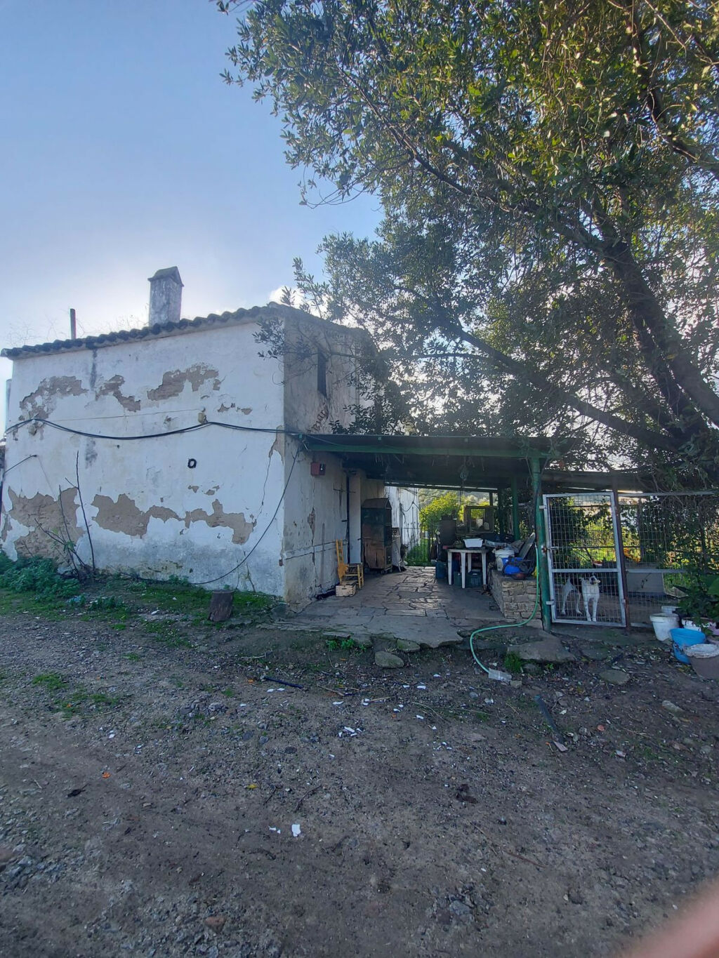 Finca - Cortijo Jimena de la Frontera Cádiz - image 4
