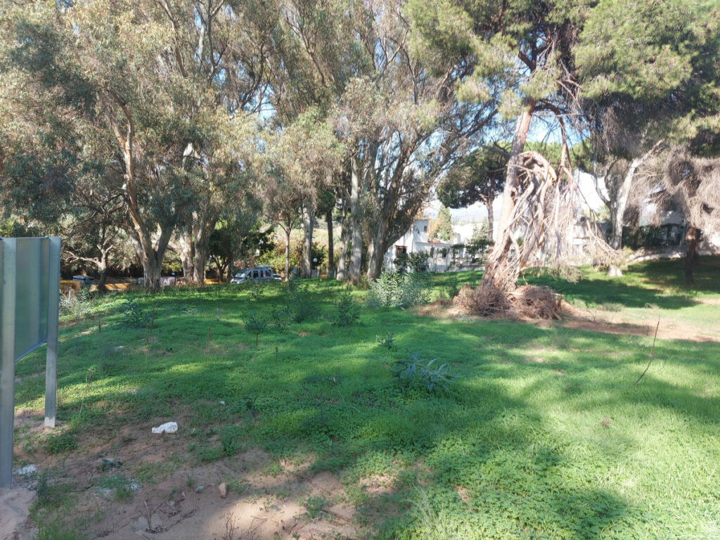 Residential Plot Elviria Málaga - image 4