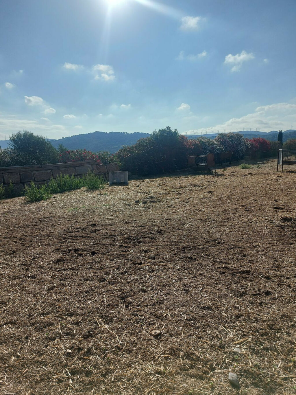 Land Jimena de la Frontera Cádiz - image 5