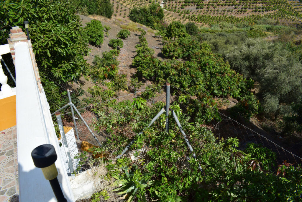 Finca - Cortijo Vélez-Málaga Málaga - image 51