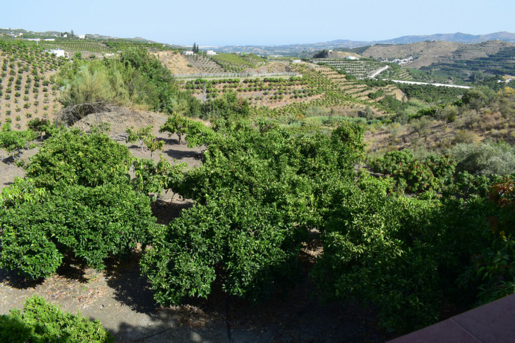 Finca - Cortijo Vélez-Málaga Málaga - image 52