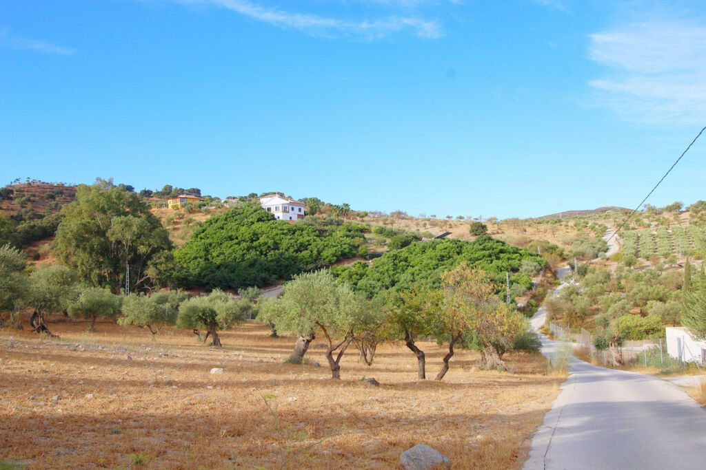 Finca - Cortijo Coín Málaga - image 7