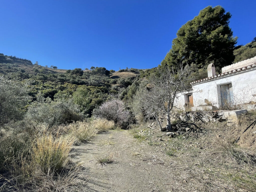 Land with Ruin Frigiliana Málaga - image 7