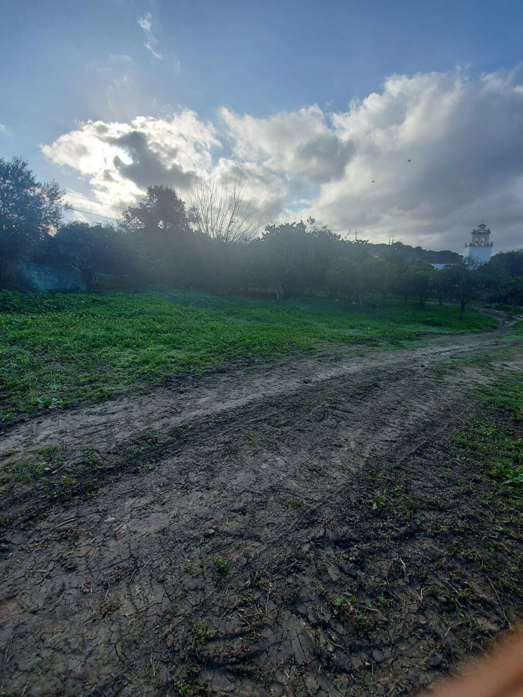 Finca - Cortijo Jimena de la Frontera Cádiz - image 7