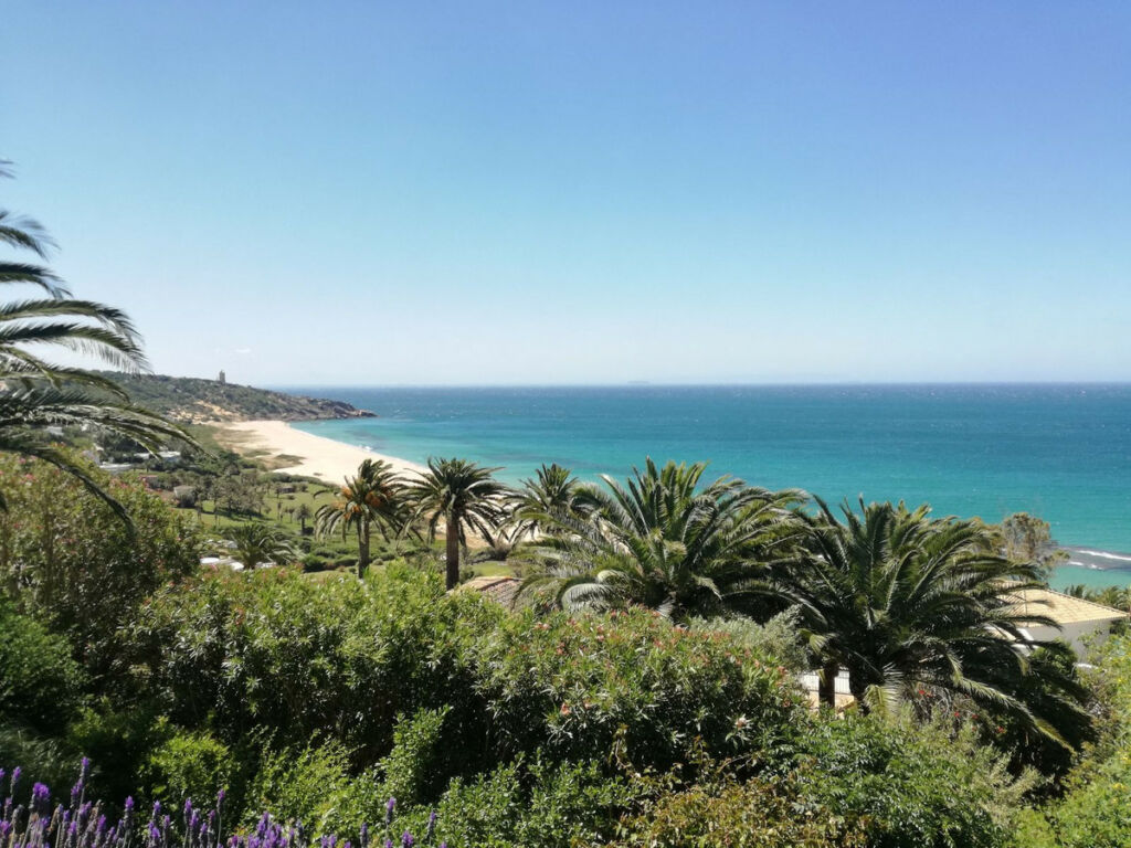 Residential Plot Zahara de los Atunes Cádiz - image 7