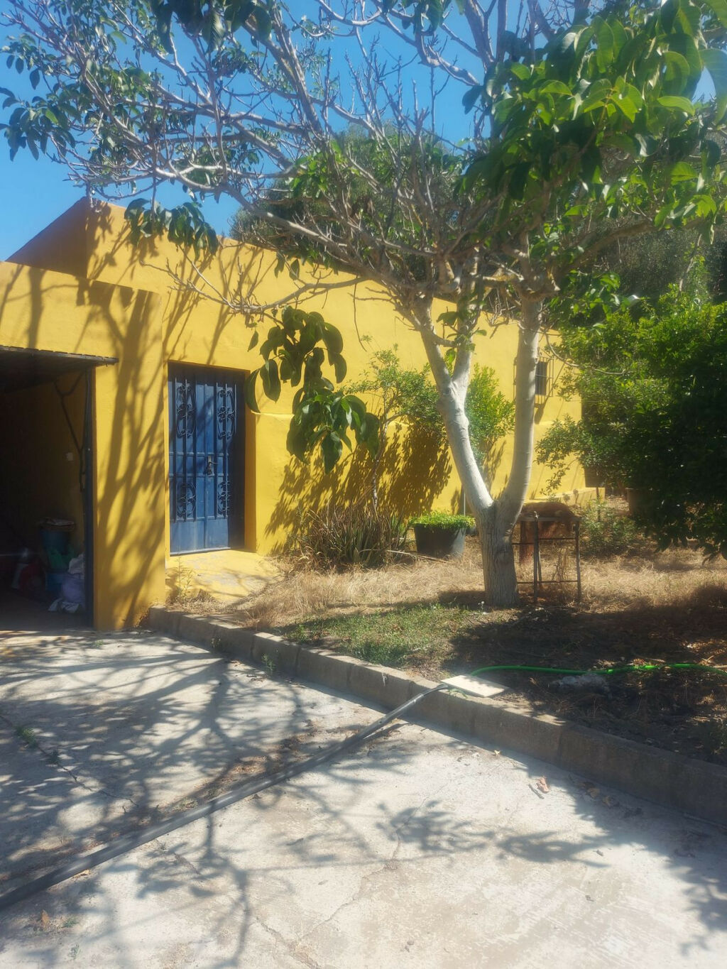 Finca - Cortijo San Enrique Cádiz - image 7
