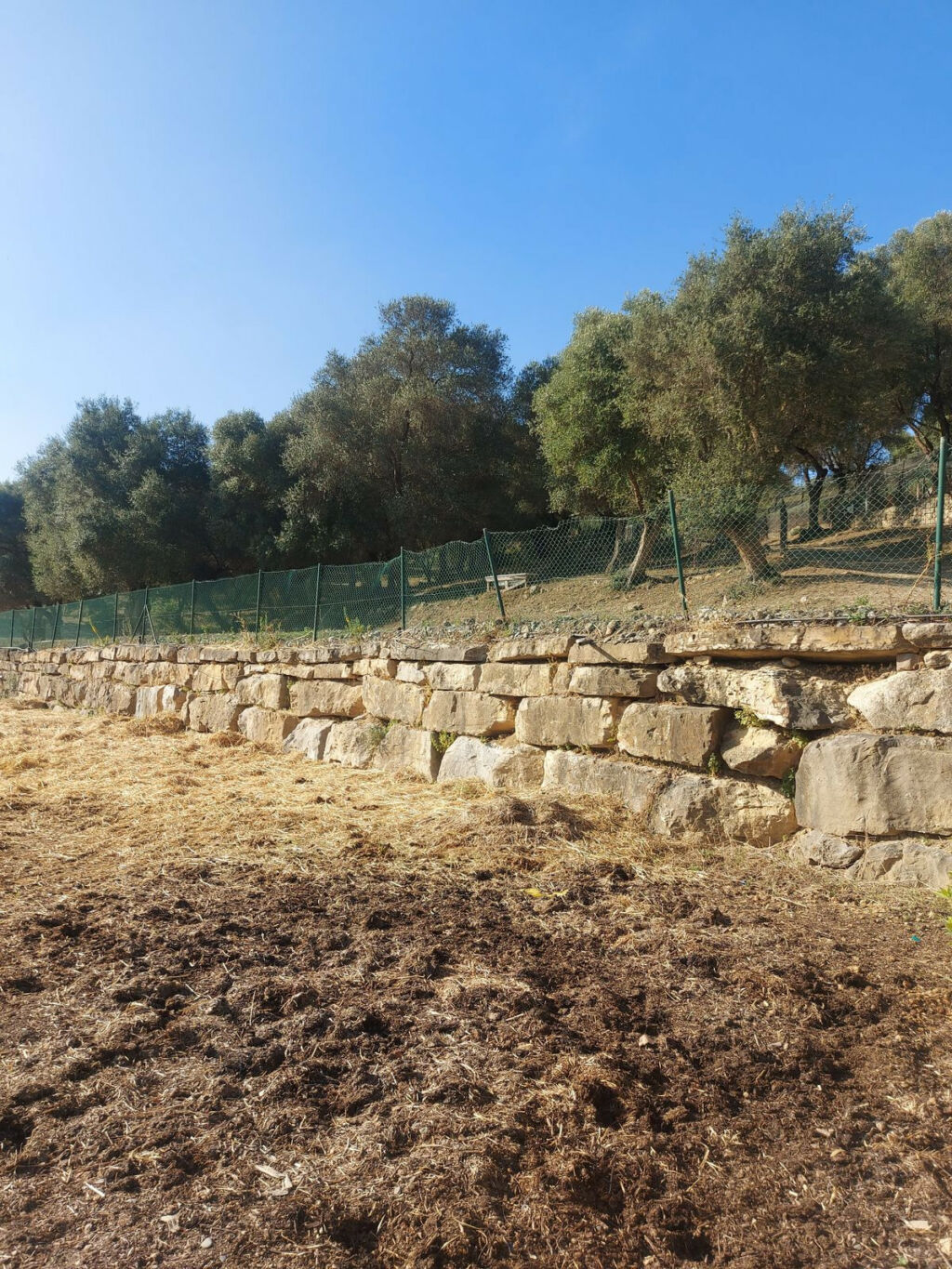 Land Jimena de la Frontera Cádiz - image 7