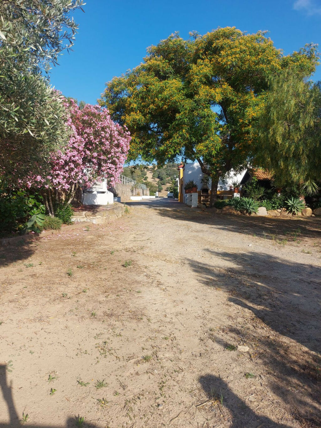 Land Jimena de la Frontera Cádiz - image 8