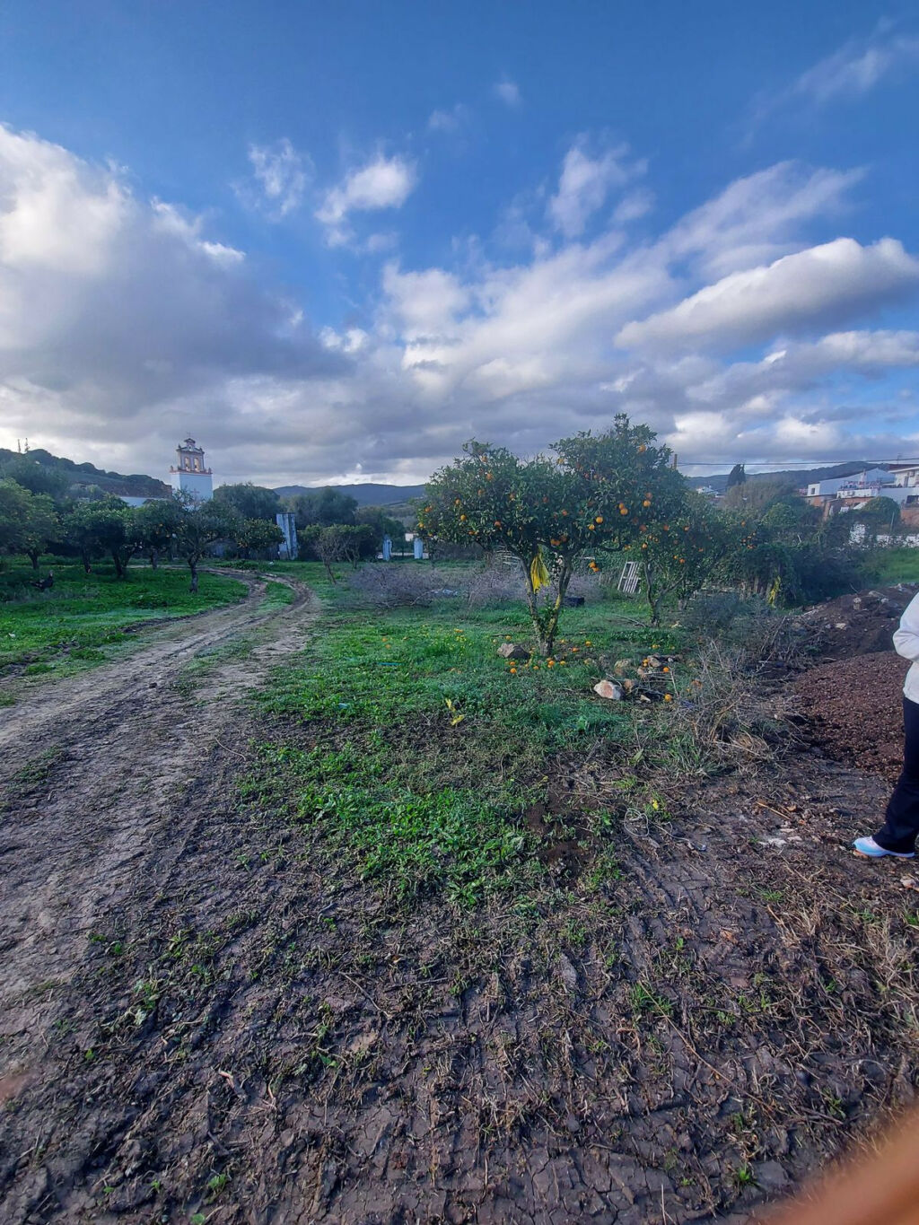 Finca - Cortijo Jimena de la Frontera Cádiz - image 8