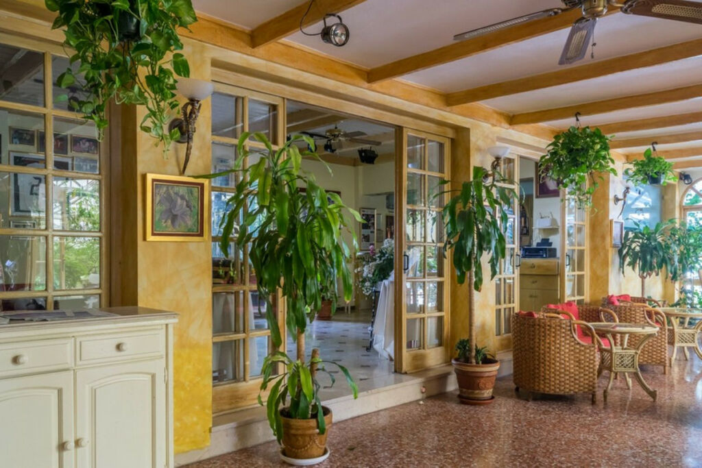 Restaurant Mijas Málaga - image 8