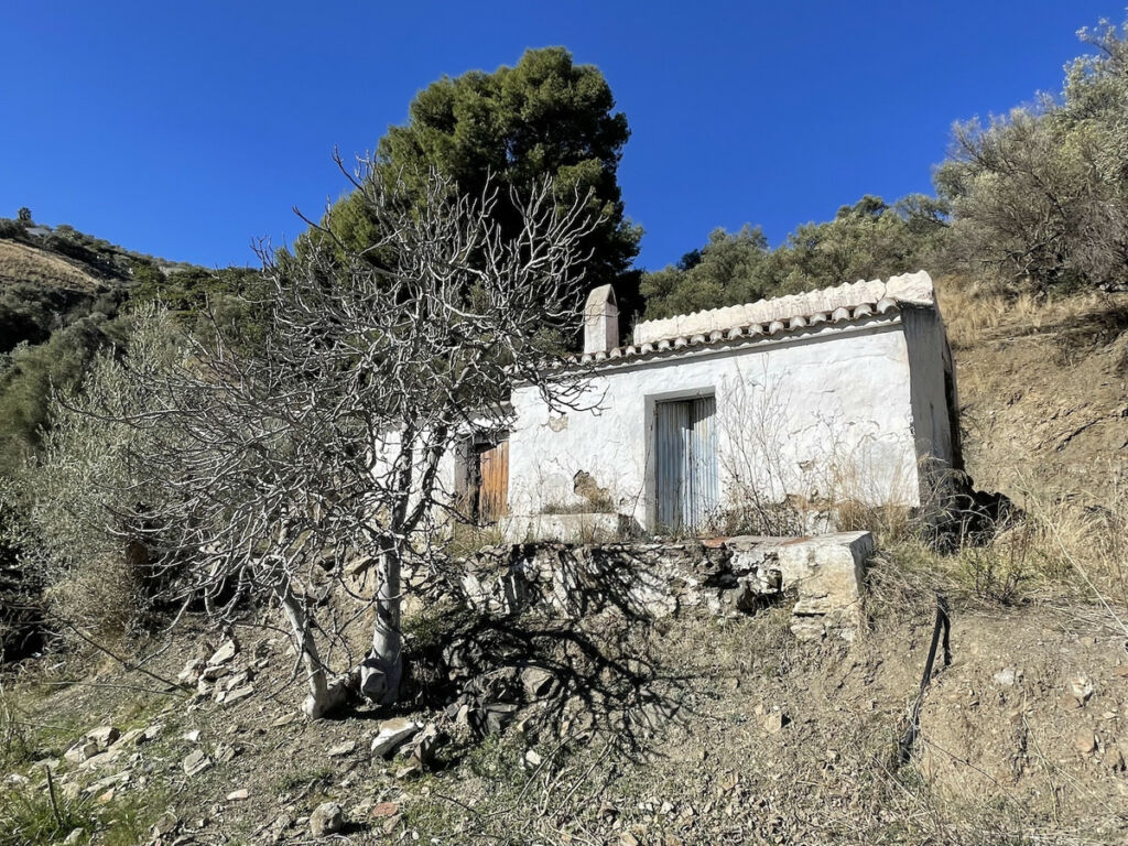 Land with Ruin Frigiliana Málaga - image 8