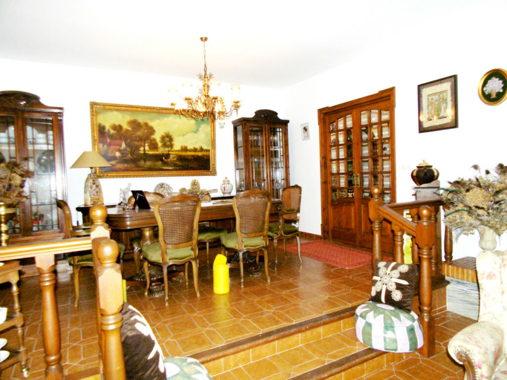 Detached Villa Coín Málaga - image 9