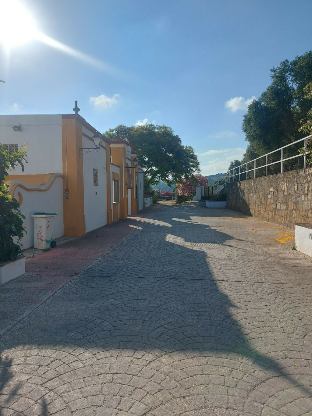 Land Jimena de la Frontera Cádiz - image 9