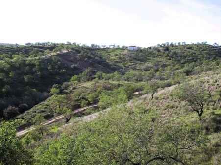 Land Monda Málaga