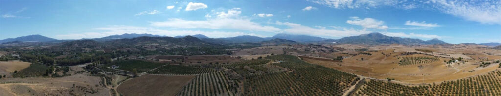 Land Coín Málaga - image 10