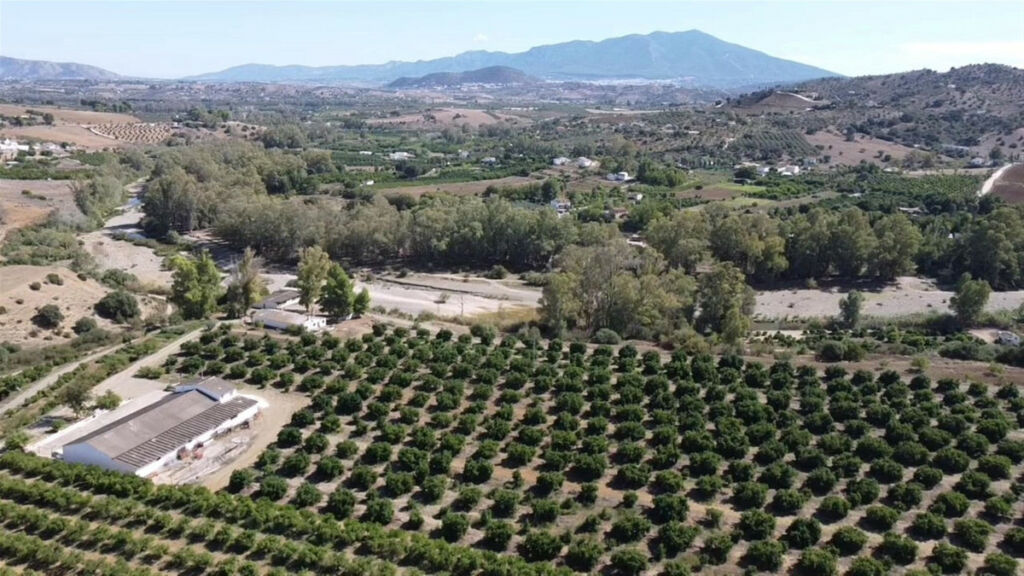 Land Coín Málaga - image 13