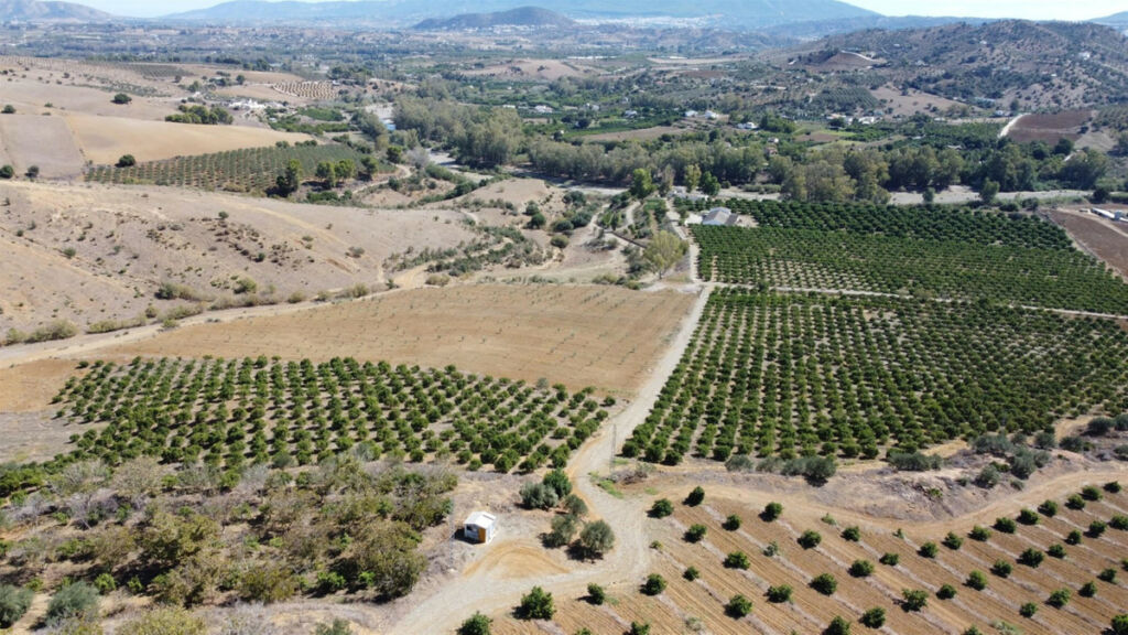 Land Coín Málaga - image 4