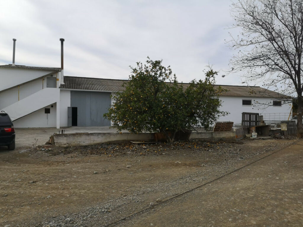 Land Coín Málaga - image 14