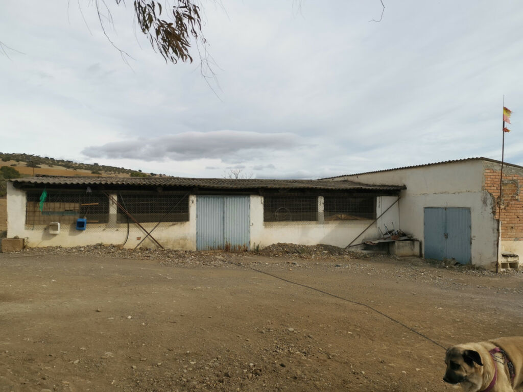 Land Coín Málaga - image 15