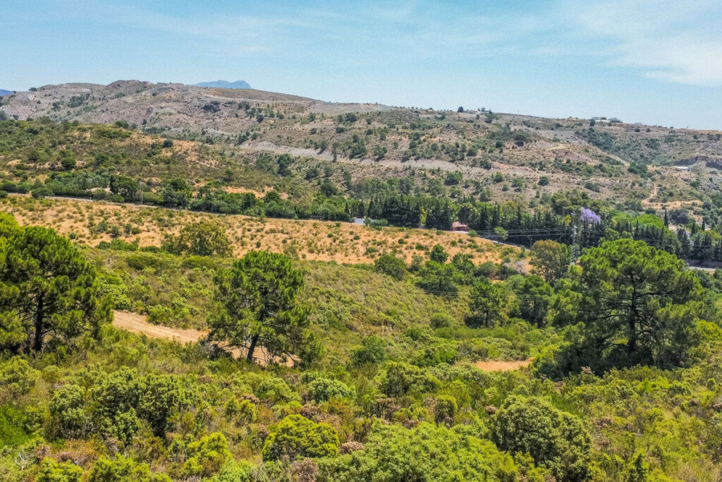 Land Benahavís Málaga - image 2