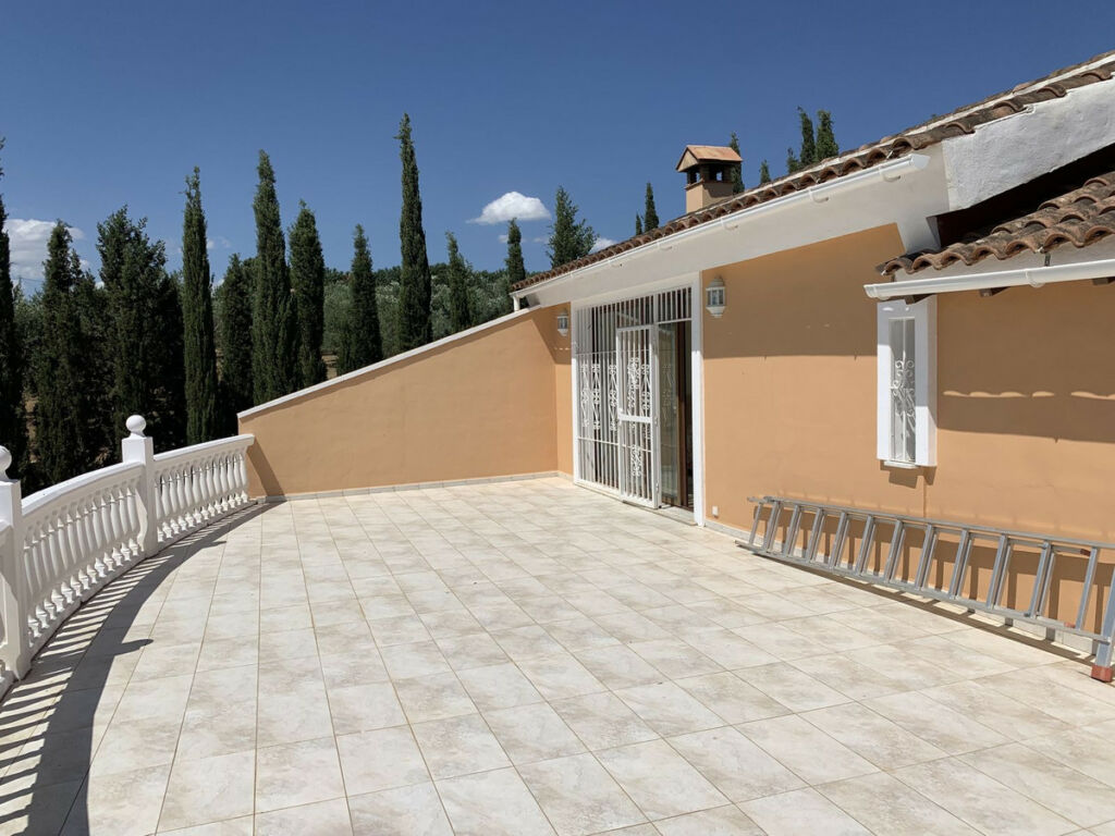 Detached Villa Coín Málaga - image 16
